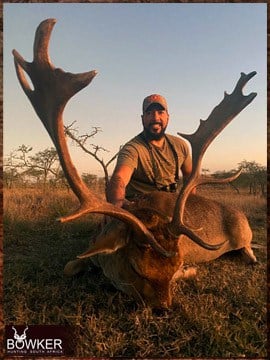 Trophy Hunting South Africa 34 African safari fallow deer hunt with Nick Bowker.