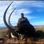 The Thrill of Sable Antelope Hunting: Guide to Hunting Sable 29 African safari sable antelope hunt with Nick Bowker