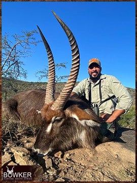 Trophy Hunting South Africa 21 African safari waterbuck hunt with Nick Bowker