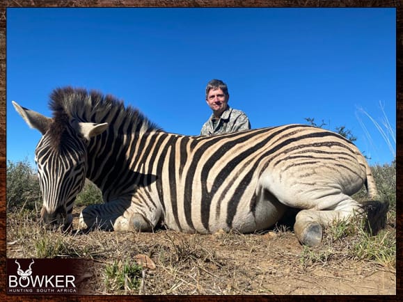 Zebra Hunting - All You need to Know About Zebra Hunts 17 African hunting Safari with Nick Bowker Hunting
