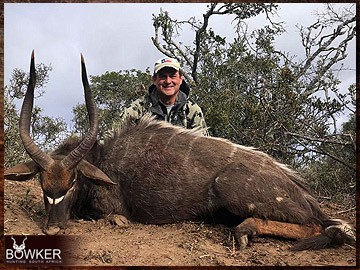 Trophy Hunting South Africa 64 Nyala hunted in South Africa with Nick Bowker.