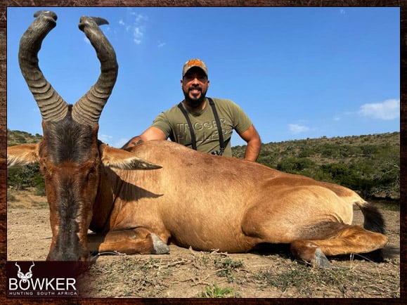 Red Hartebeest Hunting - All You Need to Know About Hartebeest Hunts 18 African safari red hartebeest hunt with Nick Bowker.