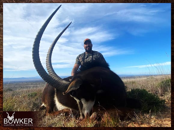 The Thrill of Sable Antelope Hunting: Guide to Hunting Sable 12 African safari hunts with Nick Bowker.