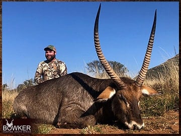 Trophy Hunting South Africa 5 African safari waterbuck hunt.