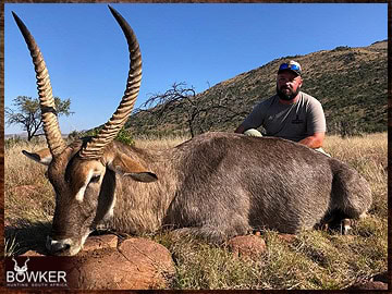 Trophy Hunting South Africa 11 African safari waterbuck hunt.