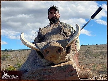 Trophy Hunting South Africa 48 African warthog hunt.
