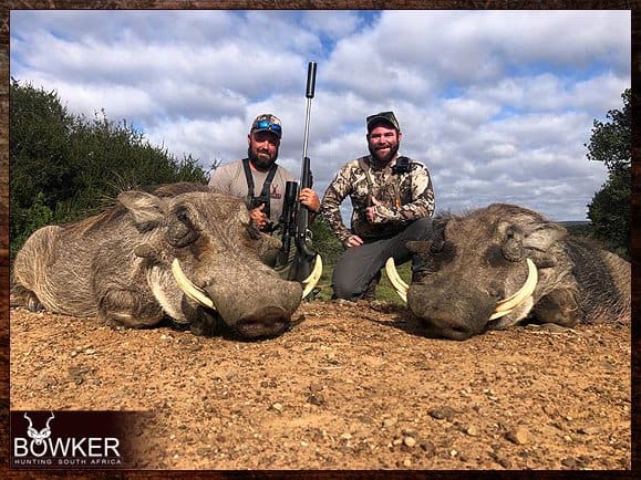 Warthog Hunting - All You Need to Know About Warthog Hunts 14 Warthog trophy hunt.