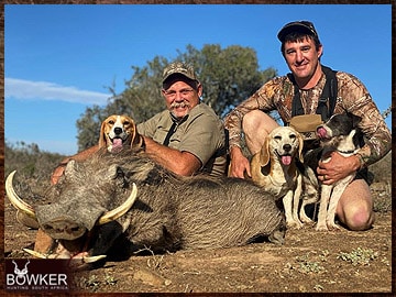 Trophy Hunting South Africa 49 African warthog hunt.