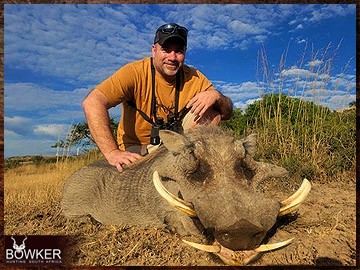 Trophy Hunting South Africa 37 African warthog hunt.