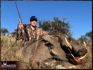 Trophy Hunting South Africa 54 African warthog hunt.