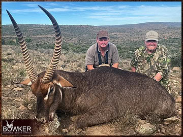 Trophy Hunting South Africa 25 African waterbuck hunt.