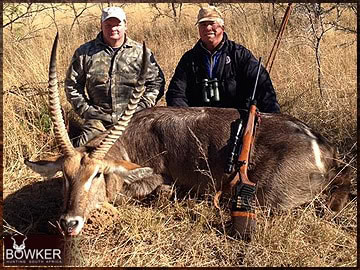 Trophy Hunting South Africa 20 African Waterbuck hunt.