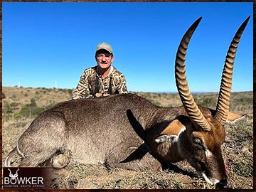 Trophy Hunting South Africa 10 African Waterbuck hunt.