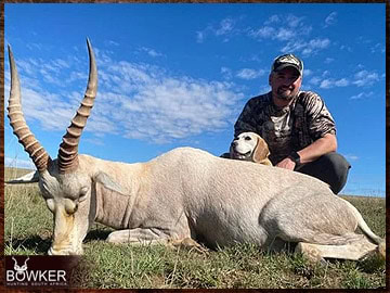 Trophy Hunting South Africa 67 African white blesbok safari hunting.