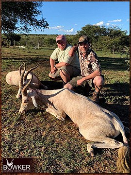 Trophy Hunting South Africa 81 African white blesbok safari hunting.