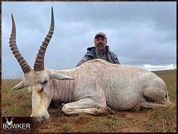 Trophy Hunting South Africa 76 White blesbok hunting in Africa.