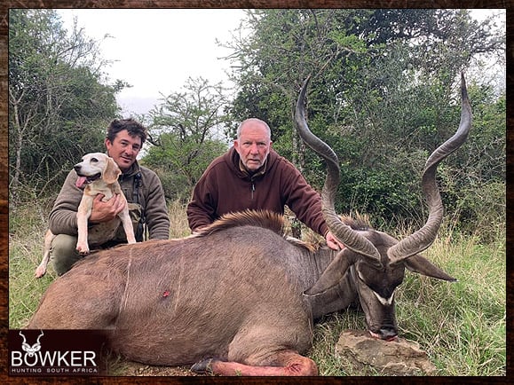 Best Dog Breeds for African Hunting - Your Plains Game Hunt Companion 13 Beagle with Kudu.