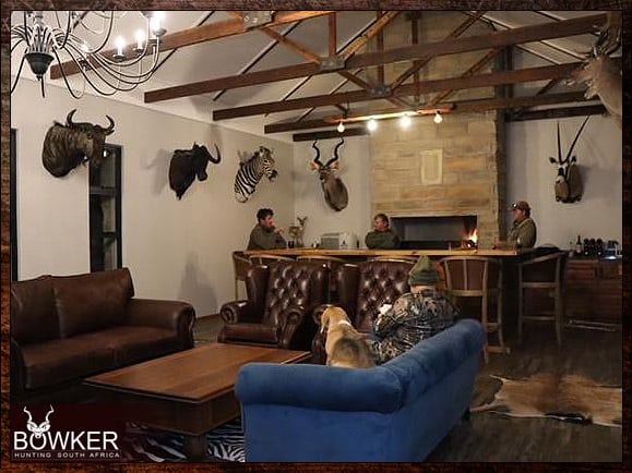 Best Dog Breeds for African Hunting - Your Plains Game Hunt Companion 14 Beagle on a couch in our lodge.