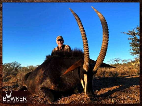 Hunt in South Africa - A Guide to South African Hunting Safaris 10 What is the best time to hunt in South Africa?