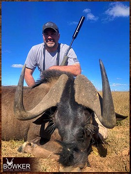 Trophy Hunting South Africa 168 Black Wildebeest hunted safari style.