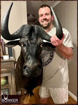 Trophy Hunting South Africa 180 Black Wildebeest shoulder mount delivered to client in the United States.