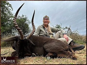 Trophy Hunting South Africa 137 Black impala harvested in 2023.