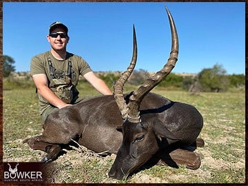 Trophy Hunting South Africa 133 Black Impala trophy hunting in South Africa.