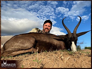Trophy Hunting South Africa 33 Black springbok safari style hunting.