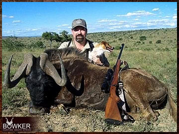 Trophy Hunting South Africa 172 Blue wildebeest hunting in Africa.