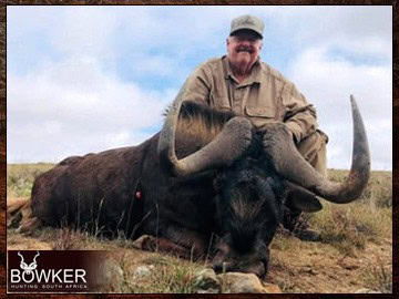 African Hunting Packages - Calculate Your Africa Safari Hunt Trip Cost 9 Black Wildebeest trophies are included in two of our hunting packages