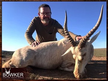 White blesbok trophy in a client 7 animal 8-day African trophy hunt. Blesbok trophy in a client 7 animal 8-day African trophy hunt.