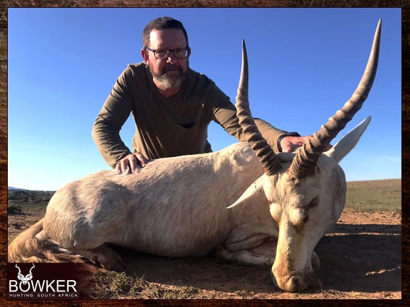 White Blesbok Hunting - About White Blesbok Hunts 4 Blesbok hunt