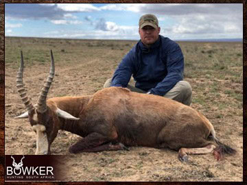 Blesbok trophy in a client 7 animal 8-day trophy hunt. Blesbok trophy in a client 7 animal 8-day trophy hunt.