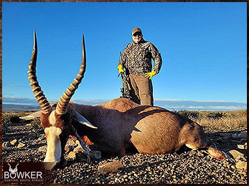 Trophy Hunting South Africa 99 Blesbok rifle hunted in Africa.