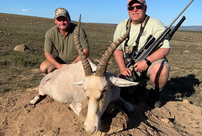 Blesbok is included in our cull hunting packages. Blesbok is included in our cull hunting packages.