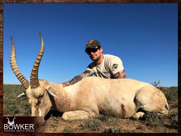 White Blesbok Hunting - About White Blesbok Hunts 3 White Blesbok hunting