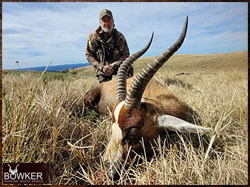 Trophy Hunting South Africa 87 Blesbok hunted 2023