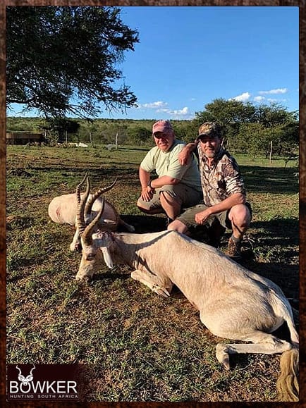 African Hunting Trip 18 Blesbok shot on our African hunting trip.