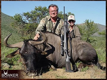 Trophy Hunting South Africa 7 Blue wildebeest hunted safari style.
