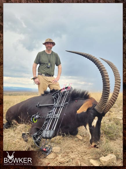 The Thrill of Sable Antelope Hunting: Guide to Hunting Sable 10 Bow hunting sable antelope in South Africa with Nick Bowker.