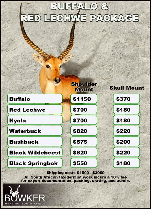 Cape Buffalo Hunting Packages and Prices - Hunt Cape Buffalo 30 Taxidermy cost for Cape Buffalo and Red Lechwe package.