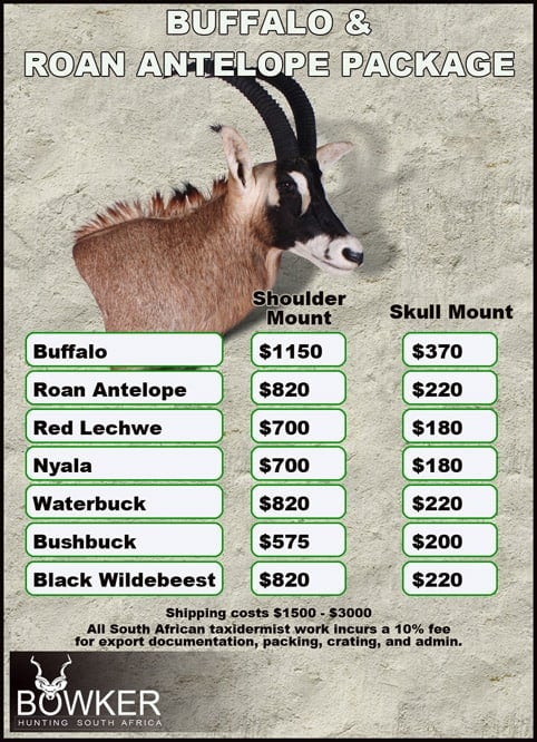 Cape Buffalo Hunting Packages and Prices - Hunt Cape Buffalo 32 Taxidermy cost for Cape Buffalo and Roan package.