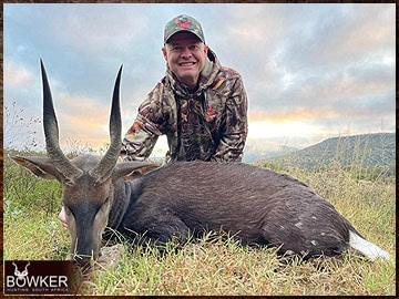 Trophy Hunting South Africa 134 Bushbuck harvested in 2023.