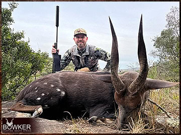 Free Range Hunting and Fair Chase Hunts in South Africa 19 Bushbuck rifle hunted in Africa.