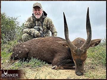 Trophy Hunting South Africa 137 Bushbuck rifle hunted in Africa.
