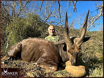 Trophy Hunting South Africa 143 Bushbuck hunted in 2023.