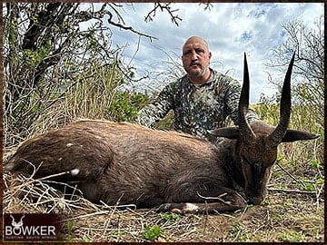 Trophy Hunting South Africa 142 Bushbuck hunted in 2023.