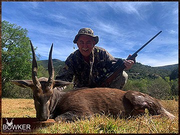 Trophy Hunting South Africa 141 Bushbuck hunted 2023