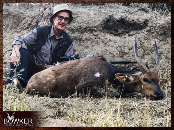 Hunting in Africa 2 Bushbuck shot while hunting in africa.