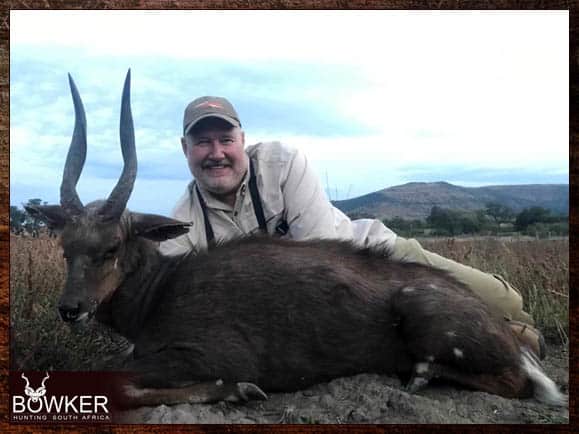 Bushbuck Hunting - Discover the Thrill of a Bushbuck Hunt 16 Bushbuck trophy hunting.
